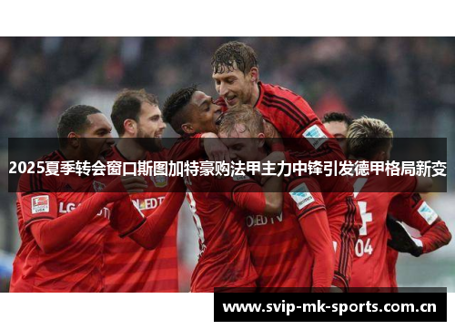 2025夏季转会窗口斯图加特豪购法甲主力中锋引发德甲格局新变 2025夏季转会窗口斯图加特豪购法甲主力中锋引发德甲格局新变